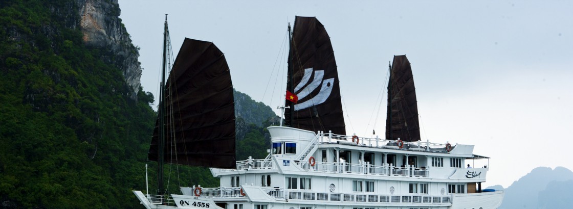 Red Lotus Travel company