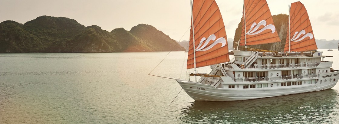 PARADISE  CRUISE