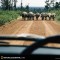 VIENTIANE TO VIETNAM 17 DAYS 16 NIGHTS