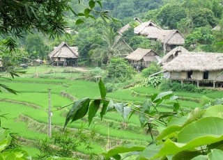 MAICHAU HOMESTAY and BIKING 2 DAYS 1 NIGHT from 60 USD/person only