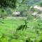 NORTH WEST VIETNAM DISCOVERY 7 DAYS 6 NIGHTS TOUR from 362 USD/person only