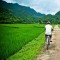 NORTH WEST VIETNAM DISCOVERY 7 DAYS 6 NIGHTS TOUR from 362 USD/person only