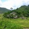 MAICHAU & CUCPHUONG NATIONAL PARK TREKKING 3 DAYS 2 NIGHTS from 100 USD/person only
