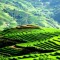 NORTH WEST VIETNAM DISCOVERY 7 DAYS 6 NIGHTS TOUR from 362 USD/person only