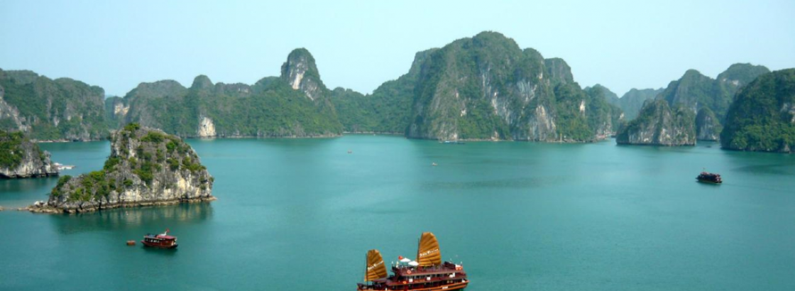 Red Lotus Travel company